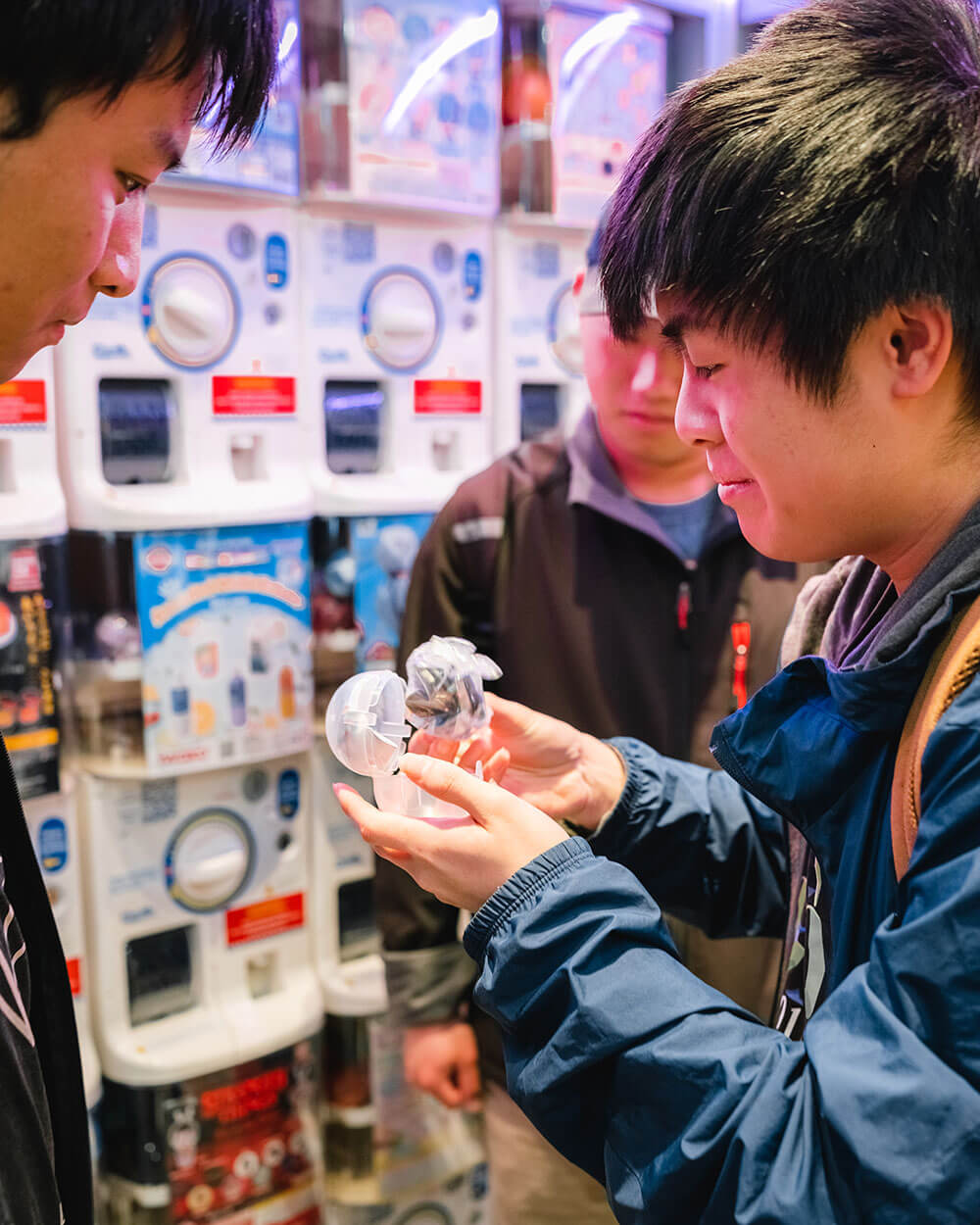 Capsule Gallery